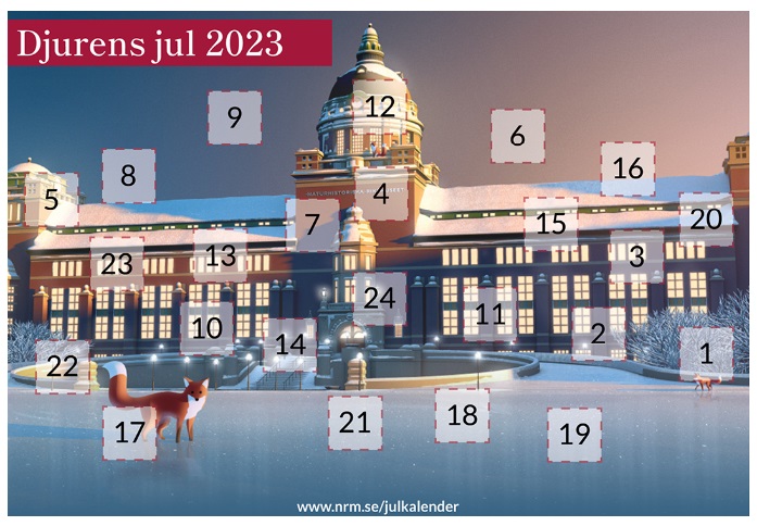 Julkalender 2023 Djurens Jul Naturhistoriska Riksmus et L rtorget